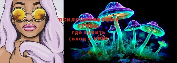 эйфоретик Абинск