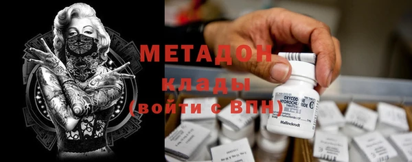 шишки Алзамай