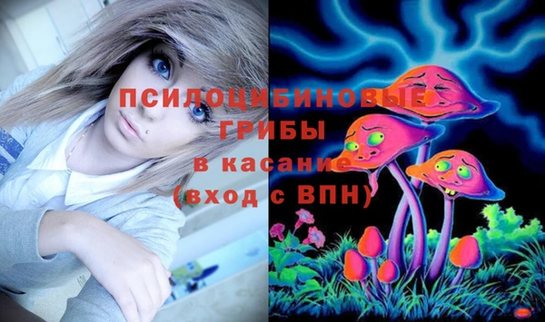 шишки Алзамай