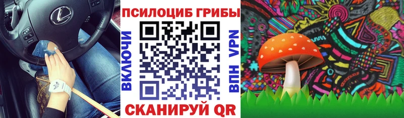 Псилоцибиновые грибы Cubensis  Павловский Посад 
